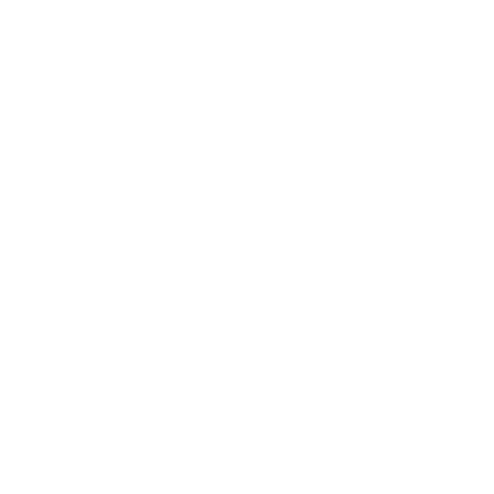 Auto Narx